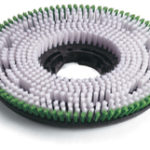 Numatic 450mm Polyscrub Brush (Single)