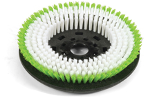 Numatic 300mm Octo Polyscrub Brush (Single)