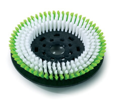 Numatic 280mm Octo PolyScrub Brush (TTV 5565) Single